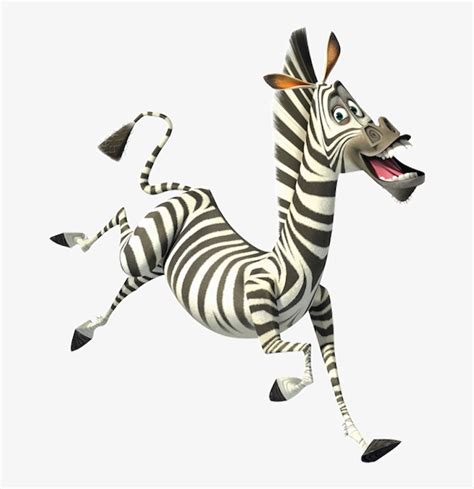 Madagaskar zebra